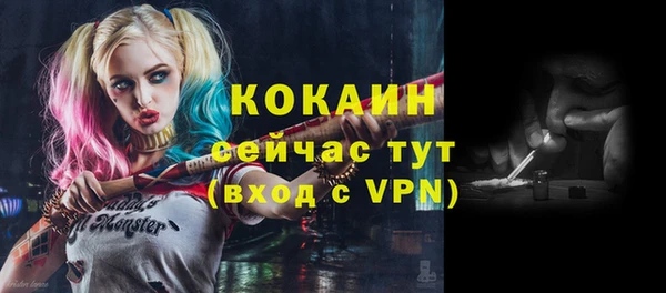 молекула духа Арсеньев