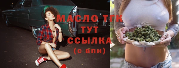 молекула духа Арсеньев
