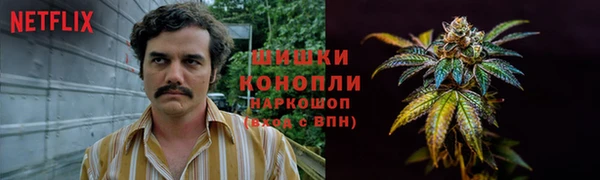 молекула духа Арсеньев