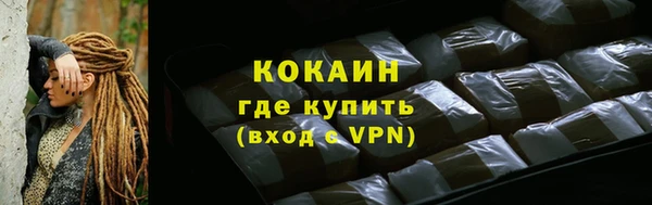 молекула духа Арсеньев