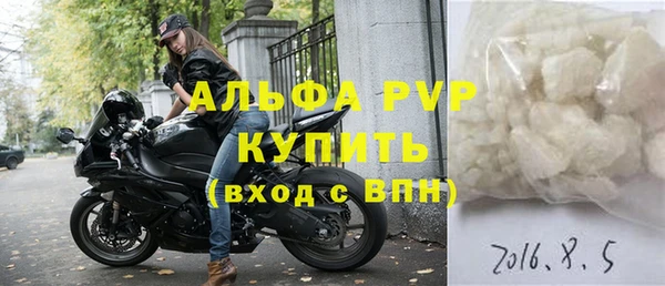 молекула духа Арсеньев