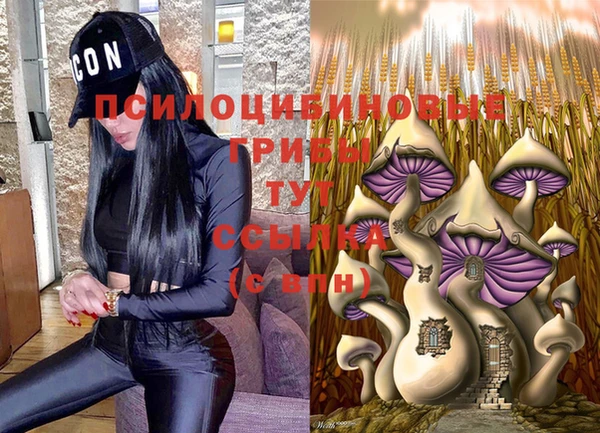 скорость Армянск