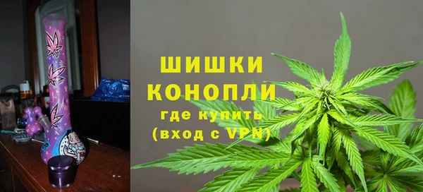 молекула духа Арсеньев