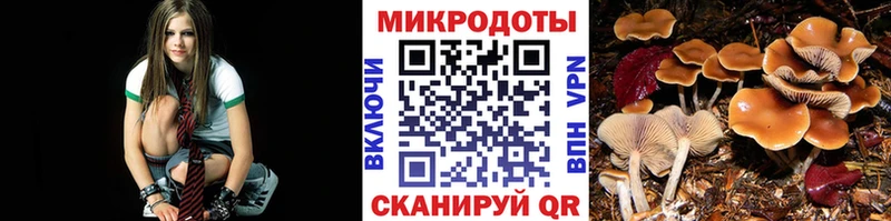 Псилоцибиновые грибы Cubensis  Советский 